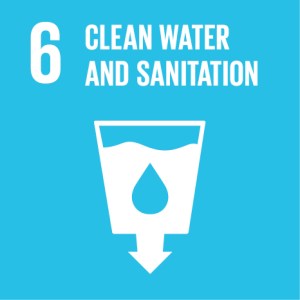 Sustainable Development Goal 6 Water and Sanitation